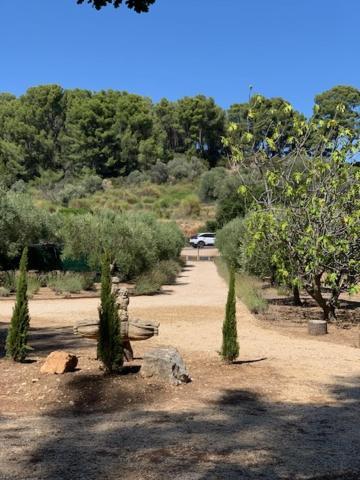Le Petit Chene Villa Le Castellet  Exterior photo